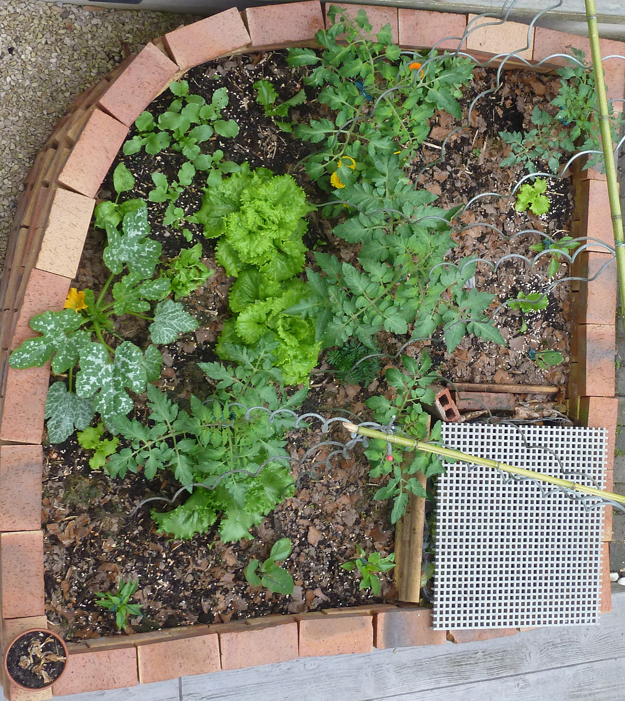 Micro potager fin avril. 